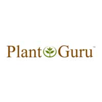 pure-essential-oils-plant-guru.jpg