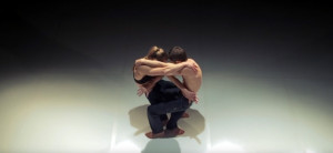 trust video